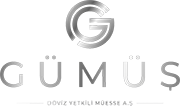 Gümüş Döviz Logo